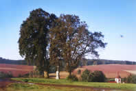 Participants of the seminar were taught to identify a sacral place through their feelings. In the picture there is a rest stop near Nová Ves.