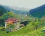 Kouzlo správné parcely