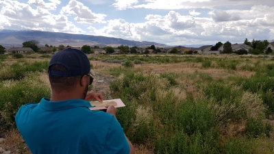 Contemplative observation of landscape on property for new waldorf school in Reno.