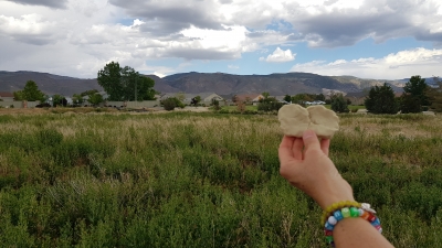 Contemplative observation of landscape on property for new waldorf school in Reno.