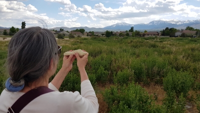 Contemplative observation of landscape on property for new waldorf school in Reno.